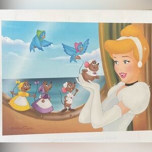 Disney Cruise Line “A Dream Cruise For Cinderella & Friends” lithograph 20”x16”